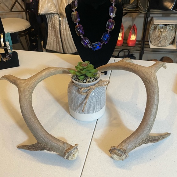 🦌5x4 Matching whitetail antler set - Picture 5 of 8
